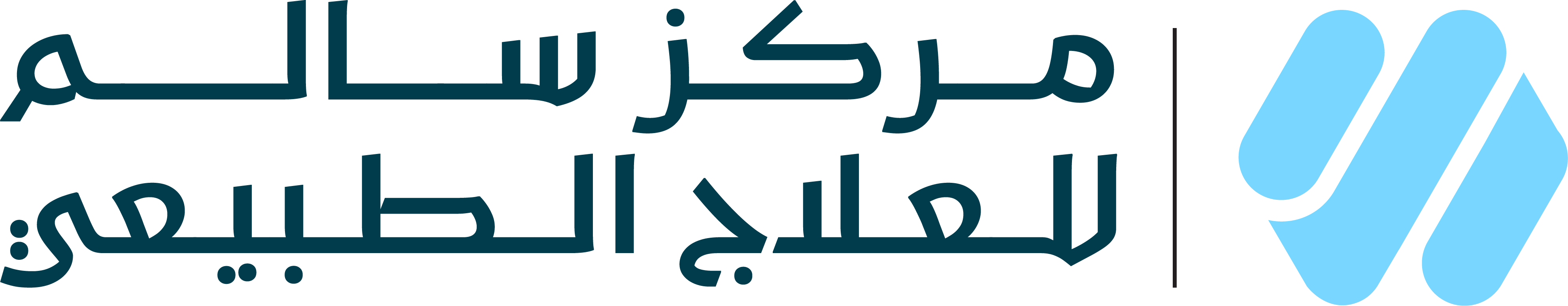 Salim Logo